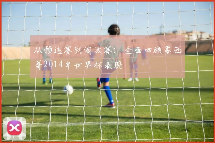 从预选赛到淘汰赛：全面回顾墨西哥2014年世界杯表现